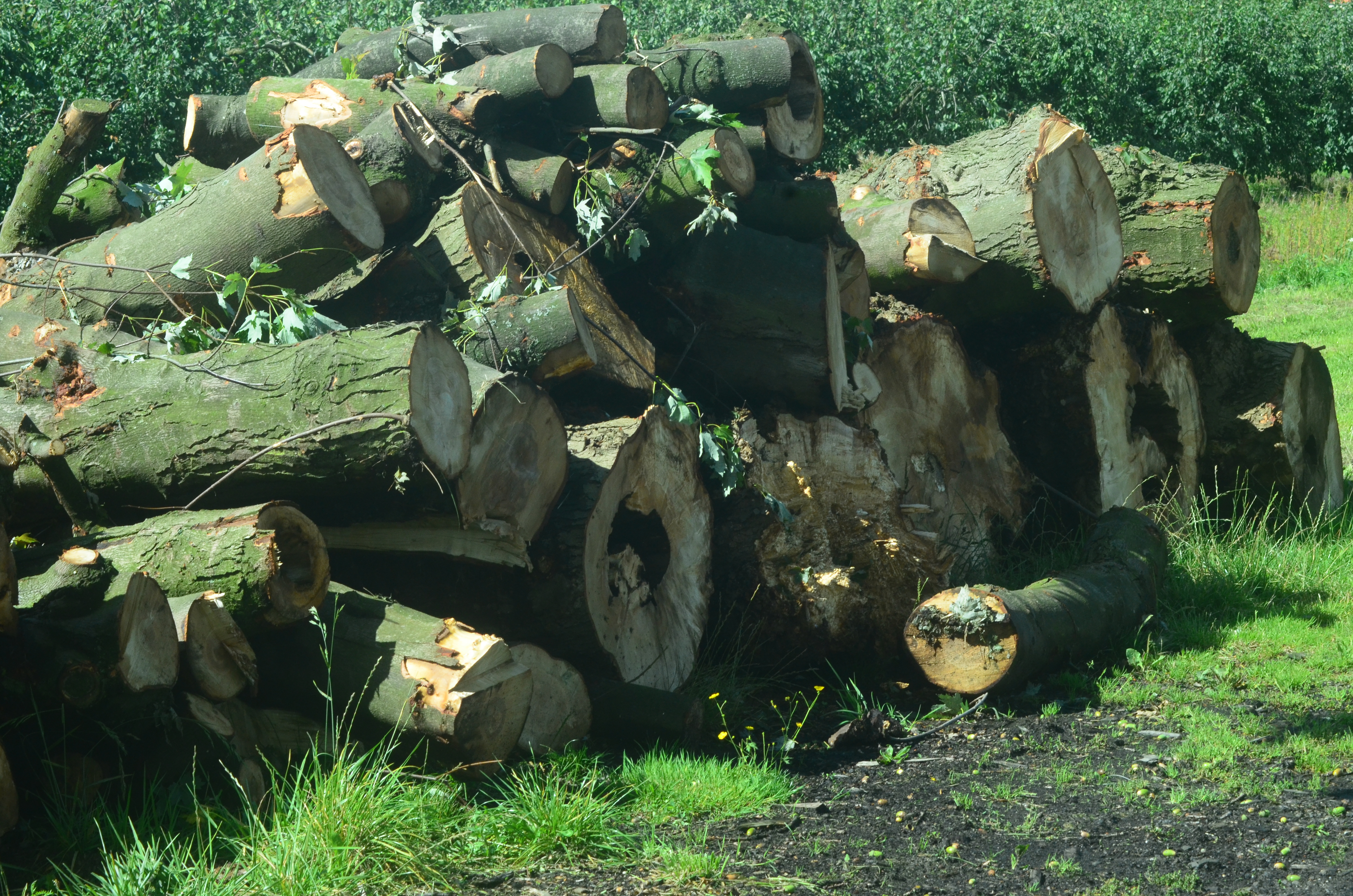 stapel brandhout houtstapel